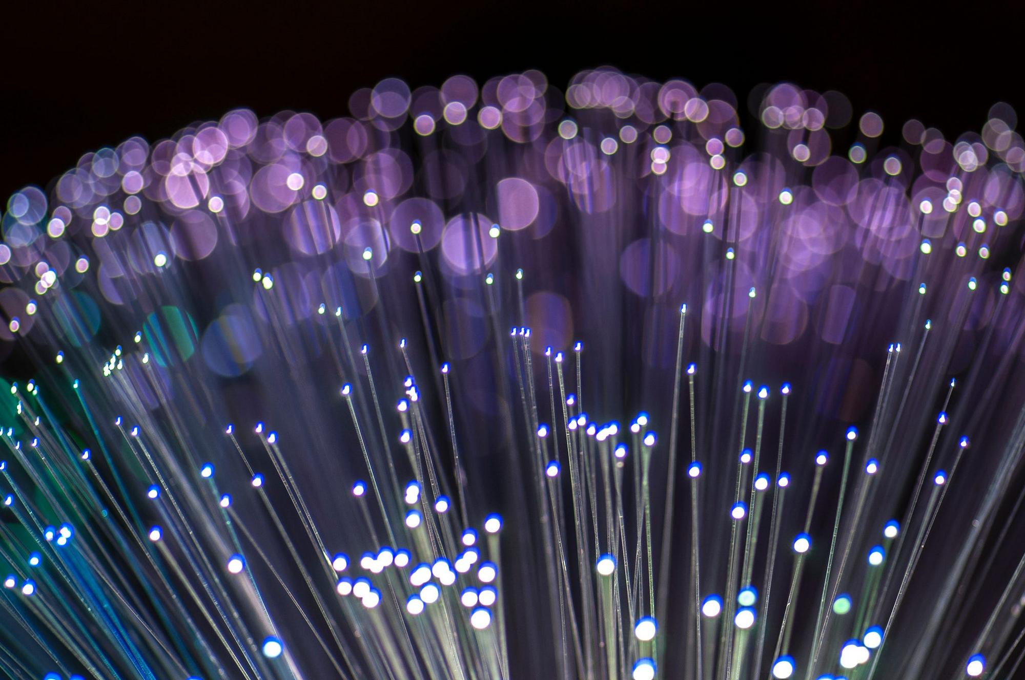 Against a black background, a bundle of optical fibres fans out, with their pinpricks of light.