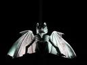 Night; atop the theatre building sits a large gargoyle, wings outspread, several meters wide. It is lit up from below, so all we see is the inky black night, and then this verdigris-tinted demon scowling over the city square.